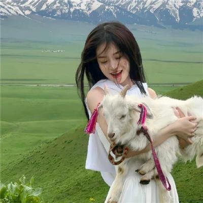 动作犯罪